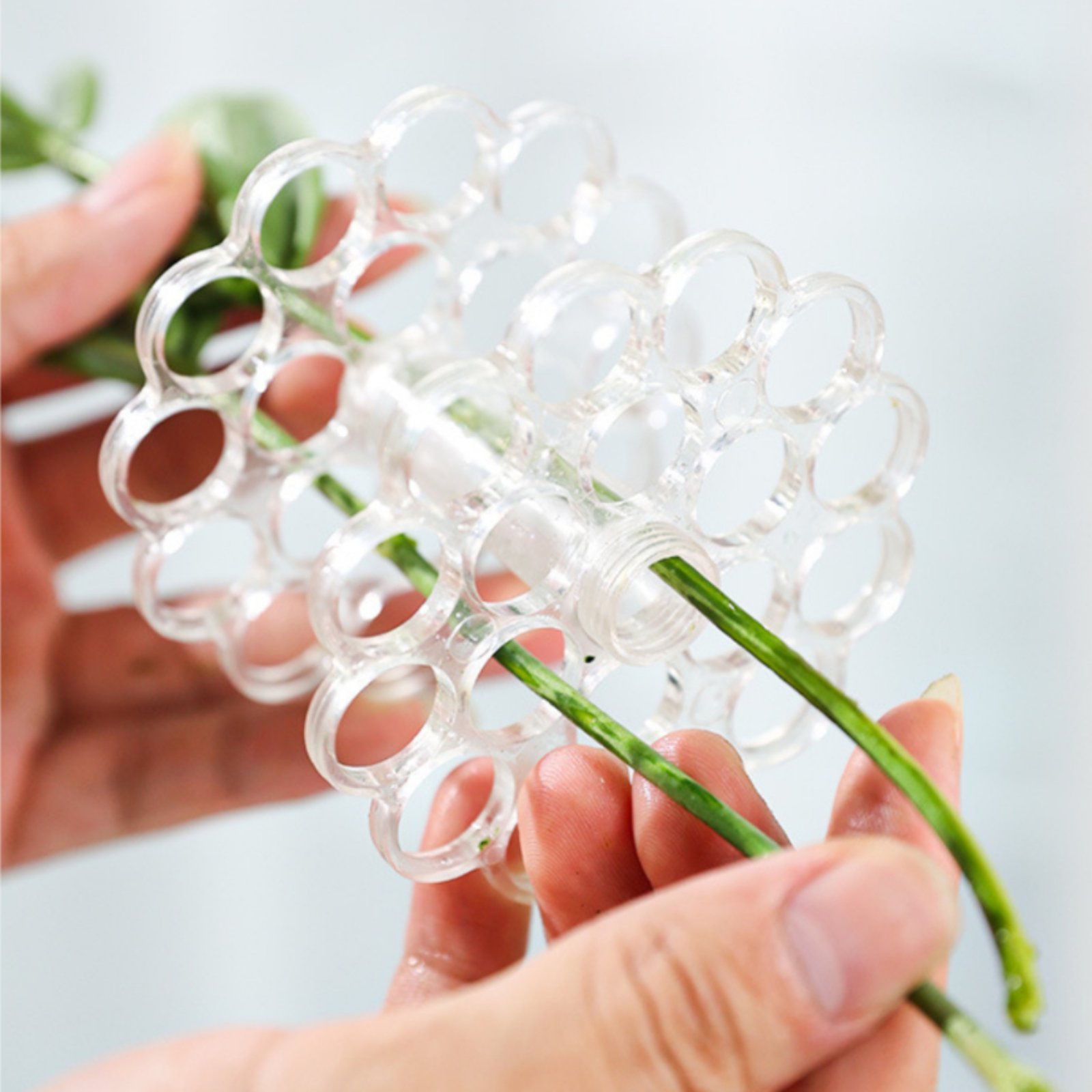 Coil Flower Stalk Holder Easy  - đánh giá và giá Home Decor Vase