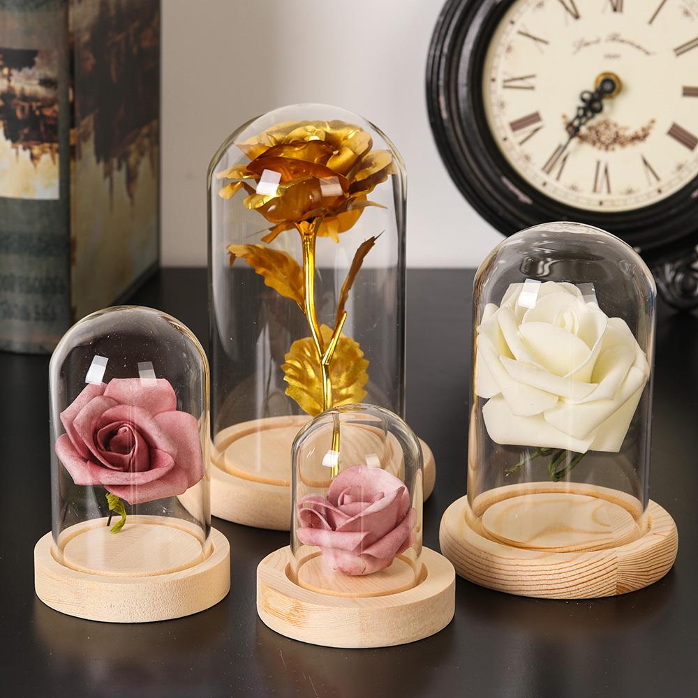 Home Decor Plants Jar Terrariu - đánh giá và giá Home Decor Vase
