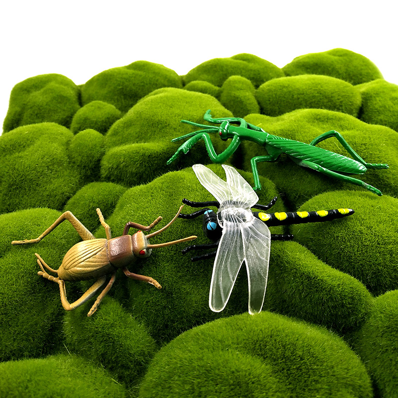 12pcs Insect Animal Model Drag - đánh giá và giá Home Decor Humacao