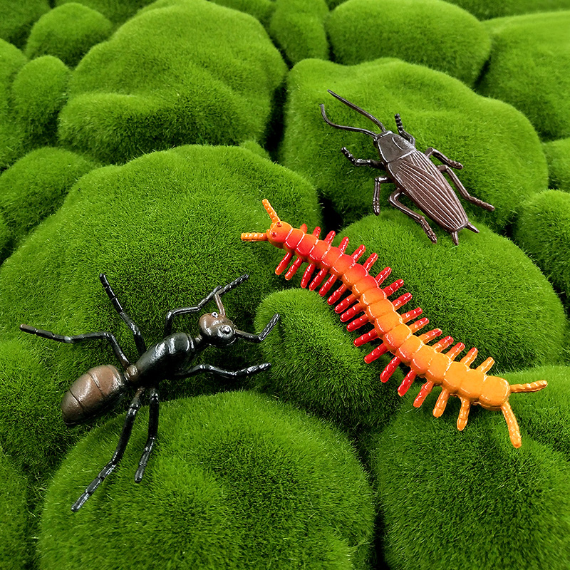 12pcs Insect Animal Model Drag - đánh giá và giá Home Decor Humacao