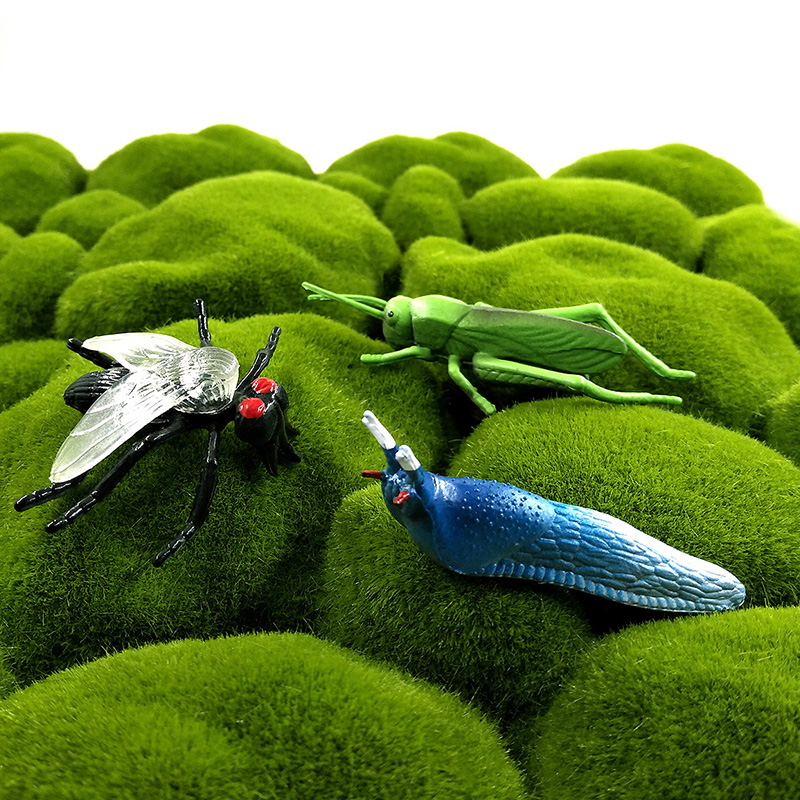 12pcs Insect Animal Model Drag - đánh giá và giá Home Decor Humacao